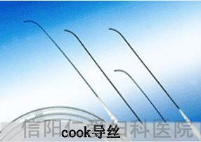   "襄阳第三人民"孕育才是硬道理！